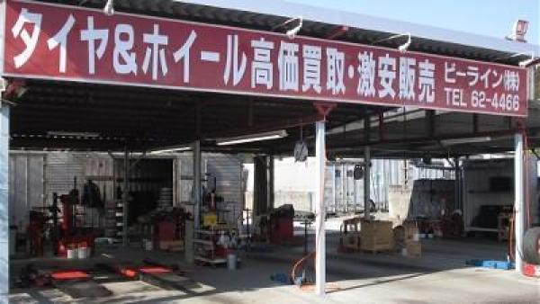 PIT画像