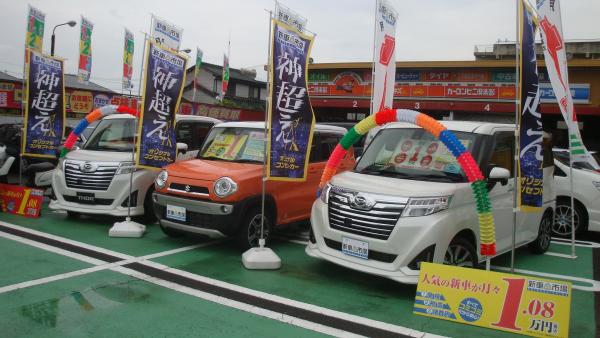 車販売　展示