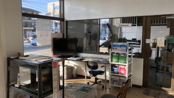 店内