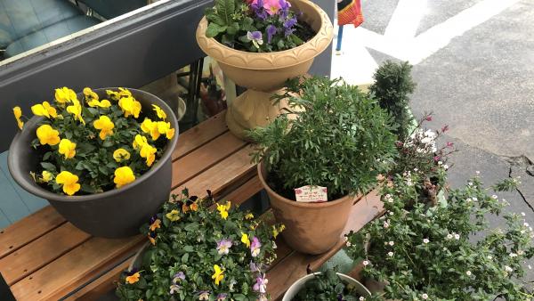 お花でお出迎え♪