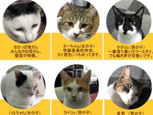 スタッフ？