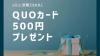 レビュー投稿で500円Quoカードプレゼント