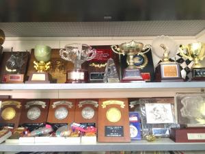 モータースポーツの実績