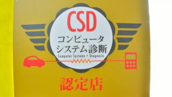 コンピューターシステム診断