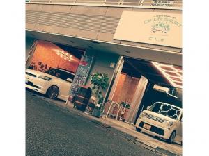 CarLifeSupport C.L.S